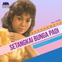 Setangkai Bunga Padi (Disco Reggae)