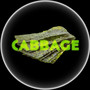 CABBAGE (Explicit)