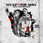 Reap What You Sow (feat. I'm So Modesto Records) [Explicit]