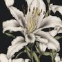 flower (feat. Kyleigh) [Explicit]