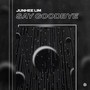 Say Goodbye