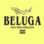 BELUGA (feat. gcodekartin)