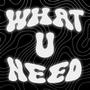 WHAT U NEED (feat. CAZ!)