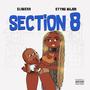 Section 8 (Explicit)