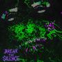 Break the Silence (Explicit)