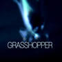 GRASSHOPPER (Explicit)