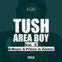 Tush Area Boy, Vol. 9 ArBayn: A Prince in Zazzau (Explicit)