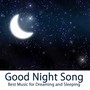 Good Night Song: Best Music for Dreaming and Sleeping, Sleep Music & Relaxation, Piano Music for your Heart, Massage, Relax and Restful Sleep, Solo Piano Meditation, Water Sounds & Instrumental Sleep Songs, Essential Winter Music to Dream