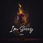 I'm Sorry (feat. Yxng Navy, Yng Jestro, Twist Prolific & Akino) [Explicit]