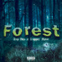 Forest (Explicit)