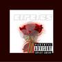 Circles (Explicit)