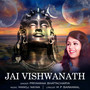 Jai Vishwanath - Single