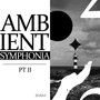 Ambient Symphonia, Pt. II