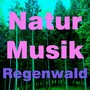 Natur musik