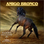 Amigo Bronco