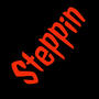 Steppin (feat. J-Rocc) [Explicit]