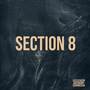 Section 8 (Explicit)