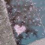 비가 오면 (Rainy day)