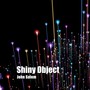 Shiny Object