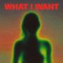 What I Want (Dubstep)