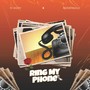 Ring My Phone