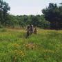 Forest School