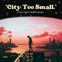 City Too Small