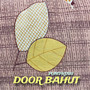 Door Bahut