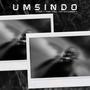 Umsindo (feat. Mfundo Vocals, Luyzo Keyz & Sphephelo)