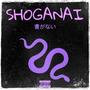 SHOGANAI (feat. J.N.OnTheTrack) [Explicit]