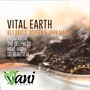 Vital Earth