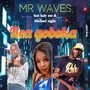 Mr Waves