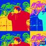 ZOOM (Explicit)
