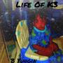 Life Of K3 (Explicit)