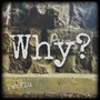 Why? (Explicit)