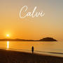 Calvi