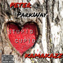 Stupid Cupid (Explicit)