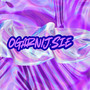 OGARNIJSIE