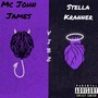 VIBZ (feat. Stella Kranner) [Explicit]