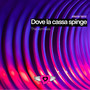 Dove la Cassa Spinge (The Remixes)