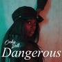 Dangerous (Explicit)