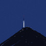 열대야 (Insomnia)