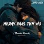 Meray Paas Tum Ho (Slowed+Reverb)