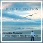 Divine Direction (Instr) (radio edit)