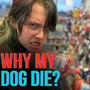 Why My Dog Die?