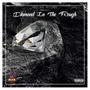 Diamond In The Rough (Explicit)