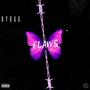 Flaws (Explicit)