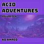 Acid Adventures : Volume ten