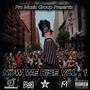 Pro Music Group Presents Now We Rise, Vol. 1 (Explicit)