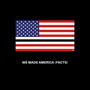 We Made America (Facts)